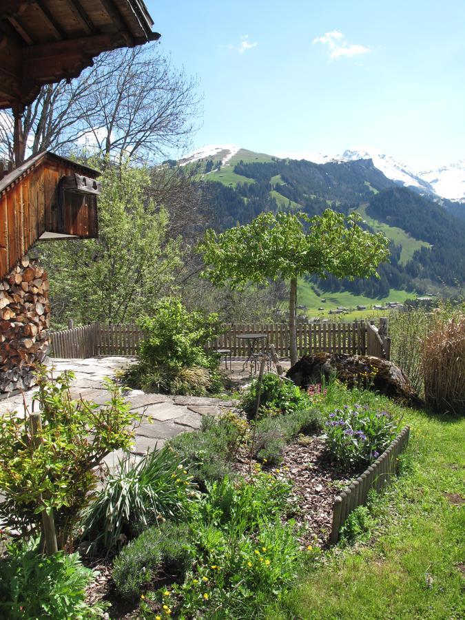Bed and Breakfast Bergluft Ленк Экстерьер фото